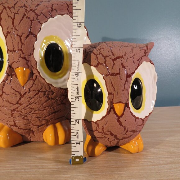 Cute Large Eyed Owls - Picture 4 of 9